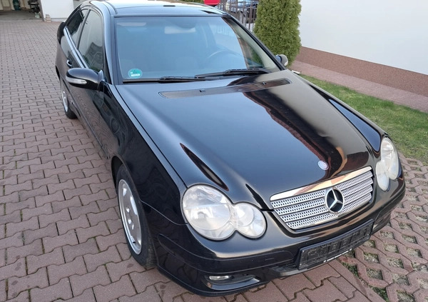 Mercedes-Benz Klasa C cena 12800 przebieg: 272111, rok produkcji 2004 z Łódź małe 352